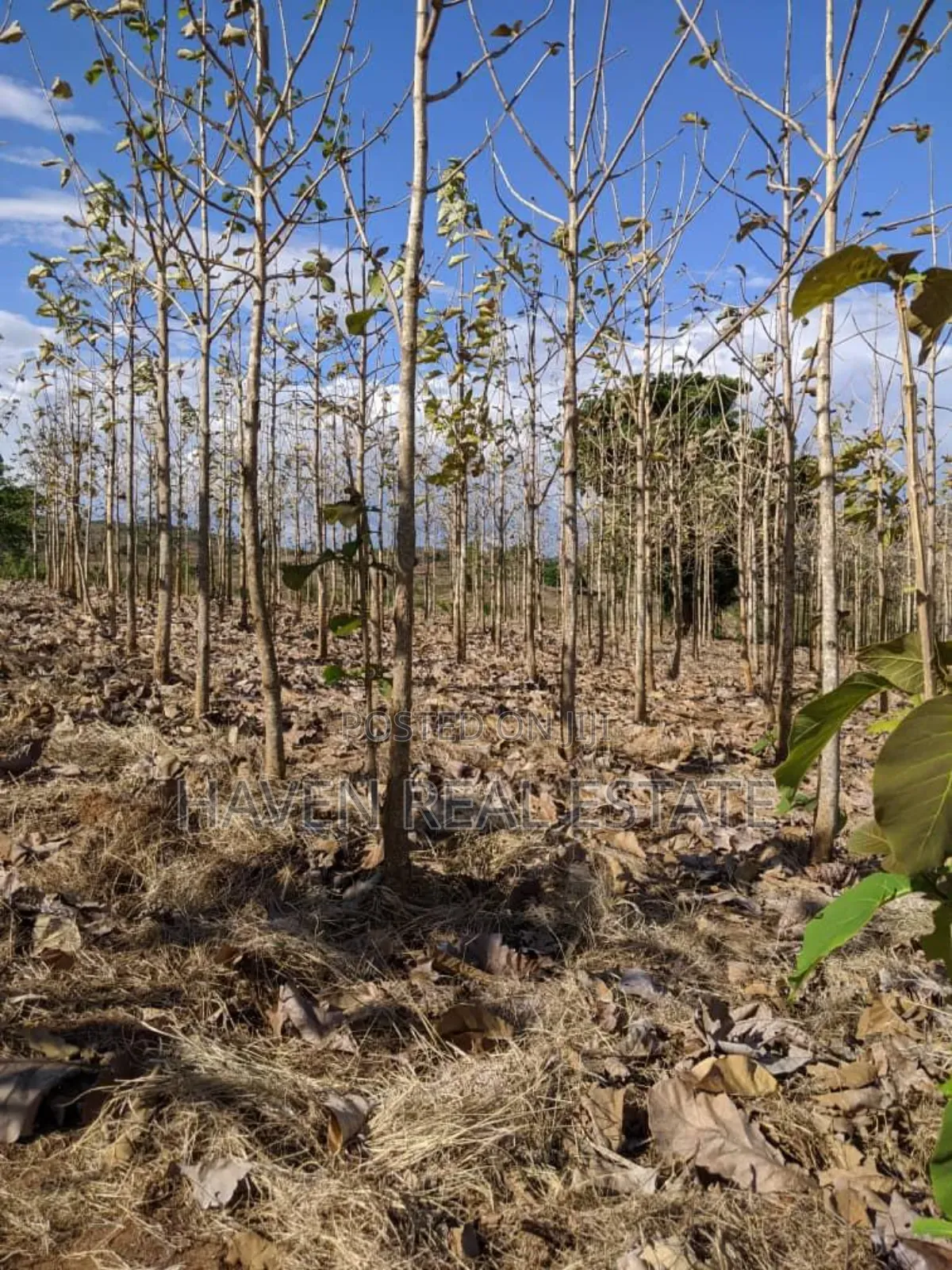 Shamba Linauzwa Kilosa Morogoro in Kilosa