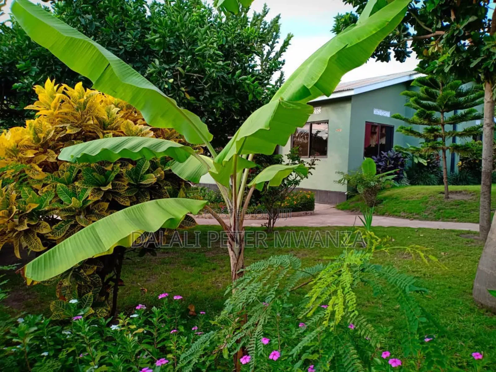 3bdrm House in Lumala, Ilemela for rent in Ilemela