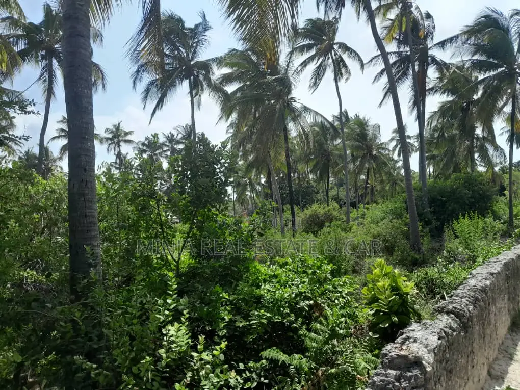 White Sand Beach Plot for Sale at Paje Bwejuu Zanzibar in Mjini