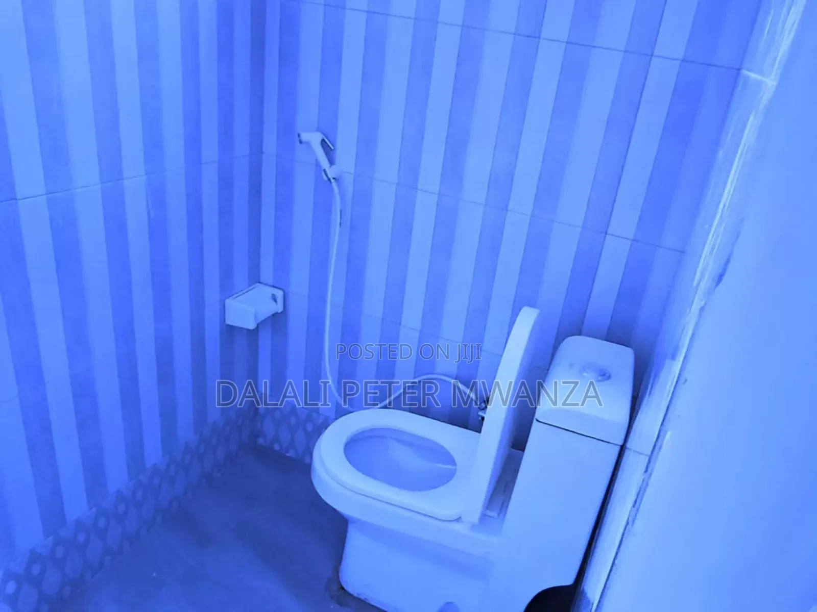 2bdrm House in Buswelu, Ilemela for rent in Ilemela