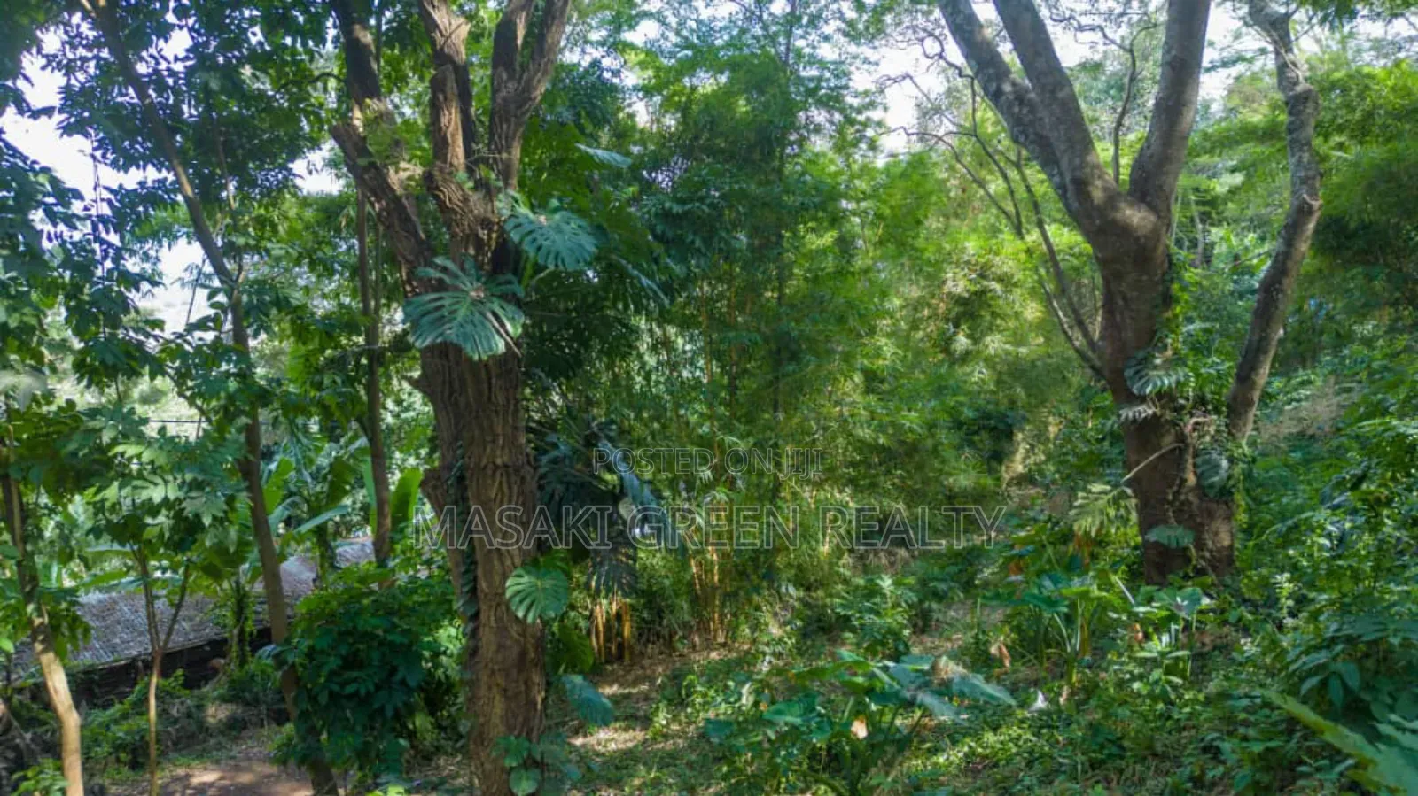 12bdrm Apartment in Arusha, Kinondoni for sale in Kinondoni