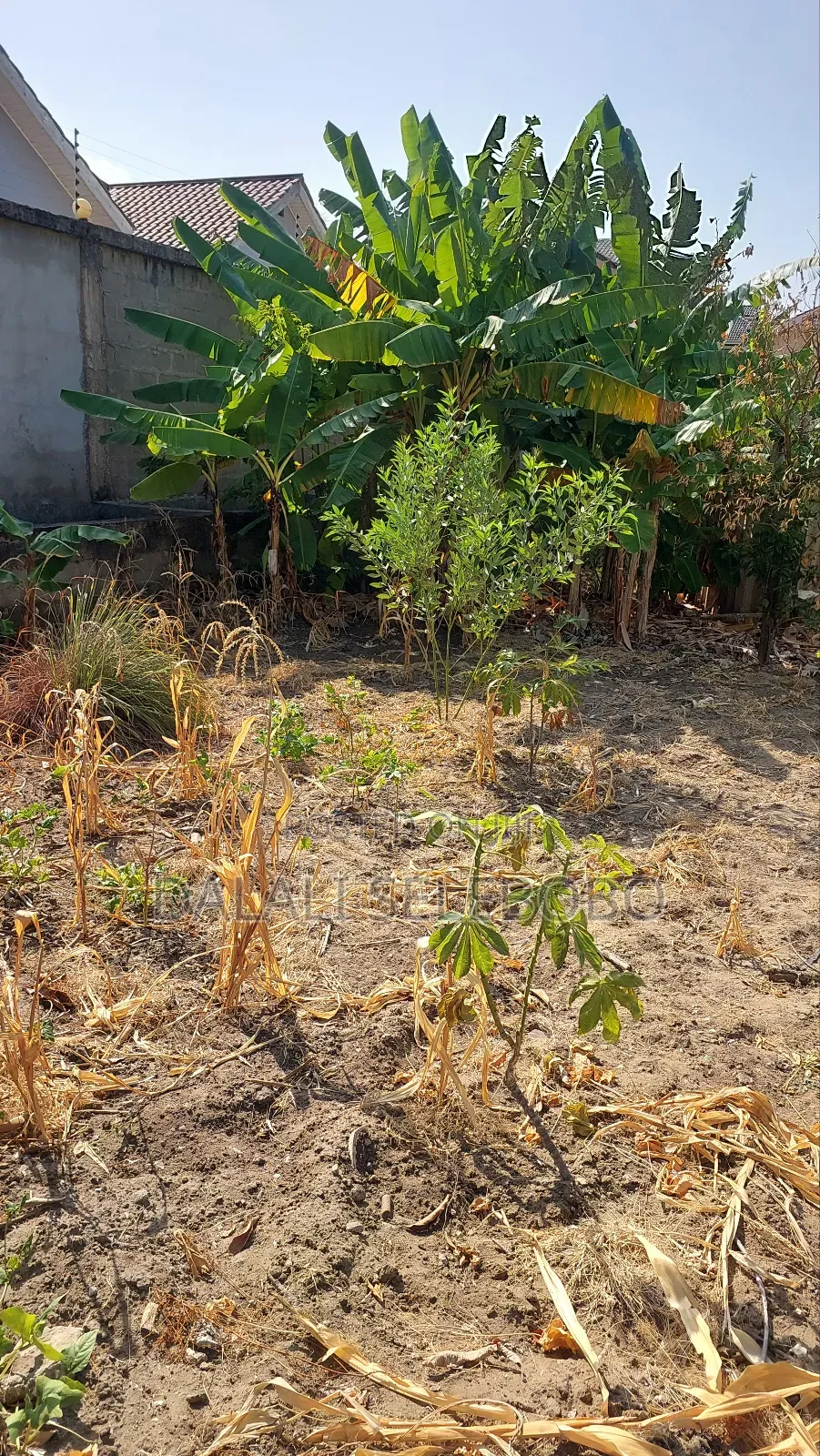 Plot Mbez Upande Wa Bahari in Mbezi Beach