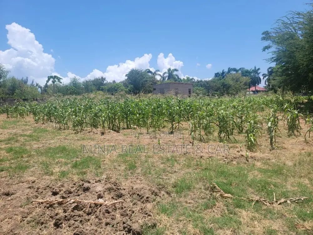 Buy Plot in Mbezi Beach and Invest in Mbezi Beach