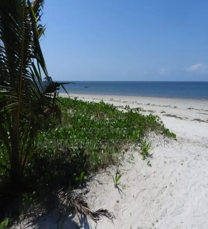 Wonderful Beach Plot for Sale in Pangani Ushongo Tanga in Pangani B (East)