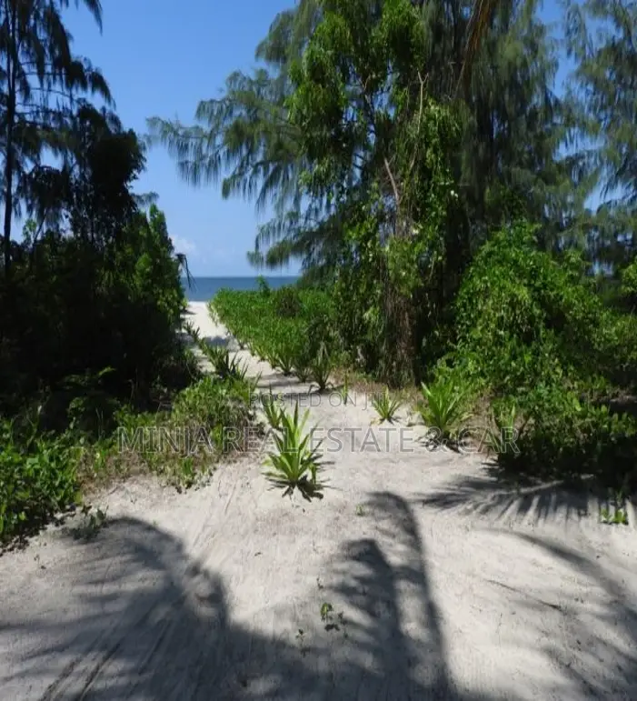 Wonderful Beach Plot for Sale in Pangani Ushongo Tanga in Pangani B (East)