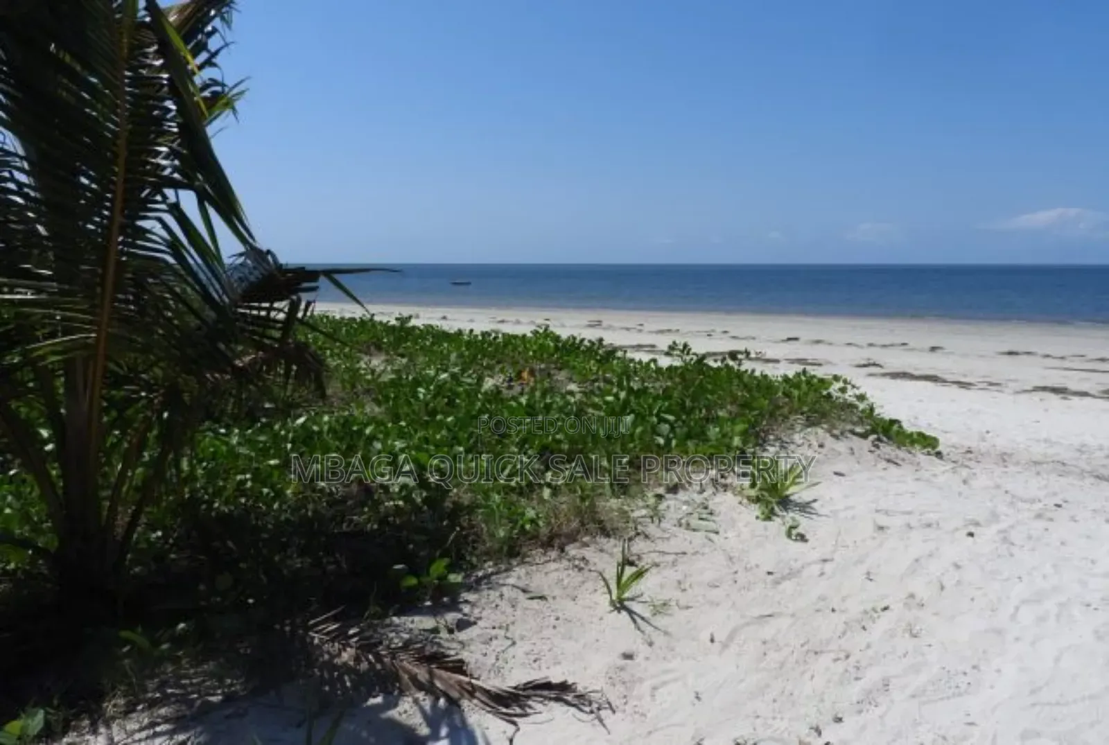 Beach Plot for Sale at Tanga Pangani Ushongo in Tanga City