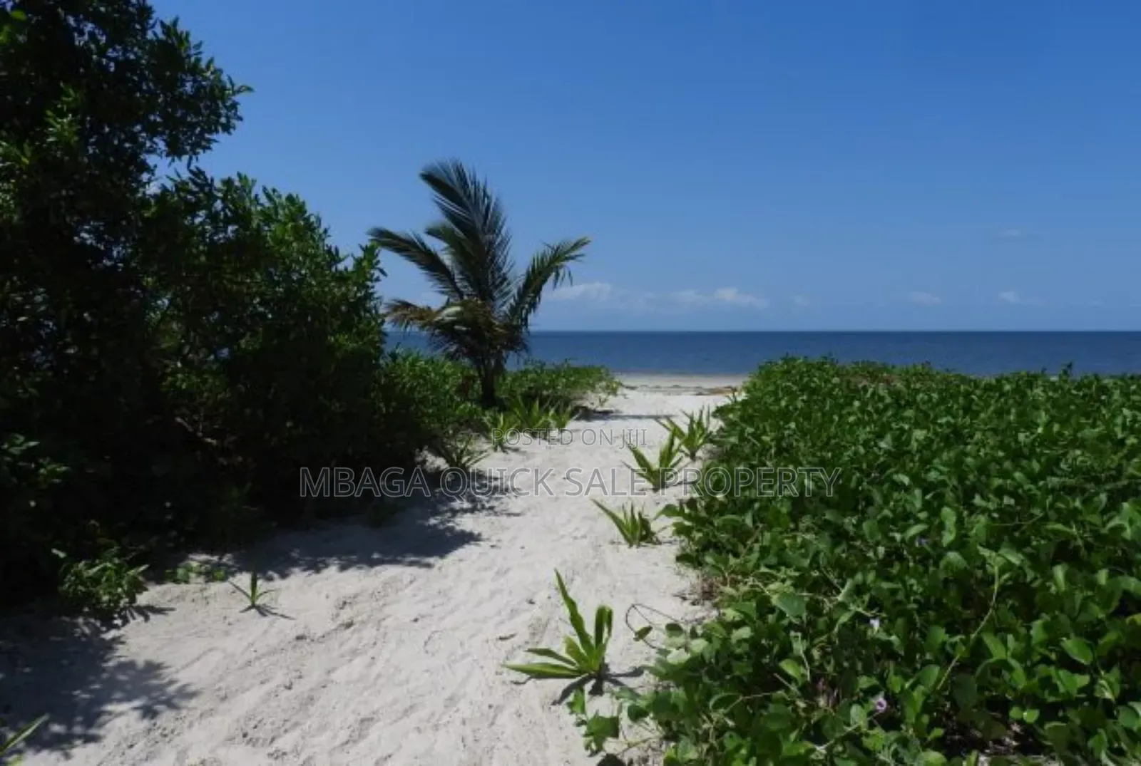 Beach Plot for Sale at Tanga Pangani Ushongo in Tanga City