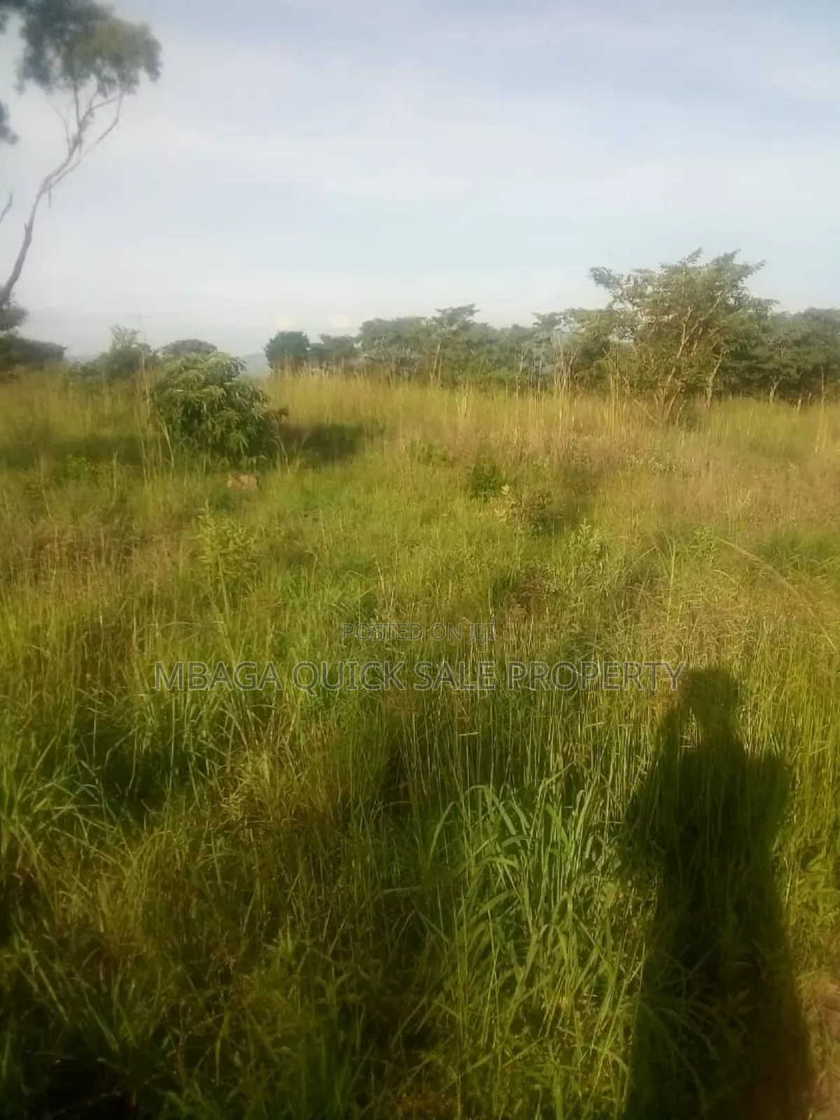 Farm for Sale at Mafinga Iringa in Mafinga