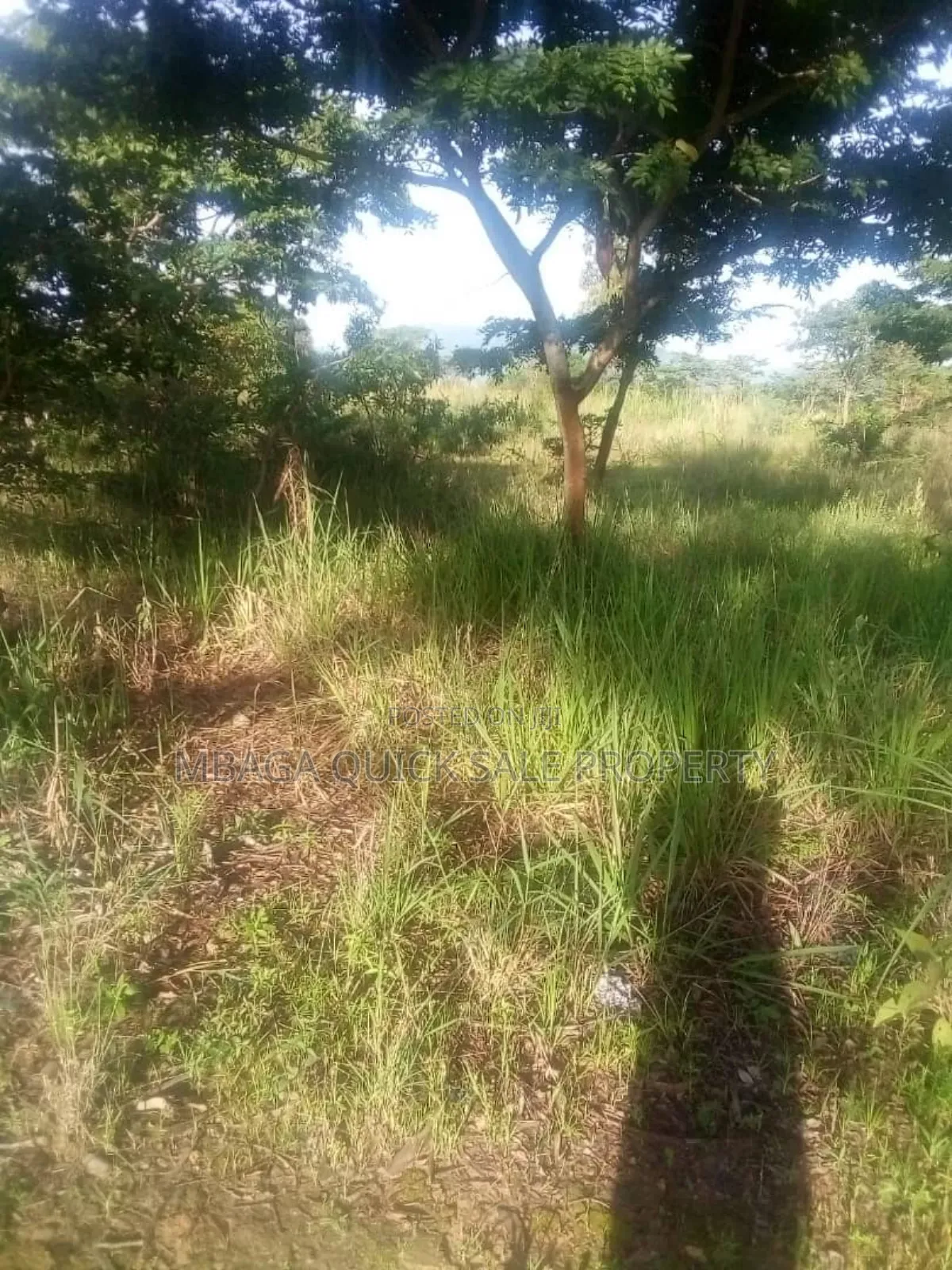 Farm for Sale at Mafinga Iringa in Mafinga