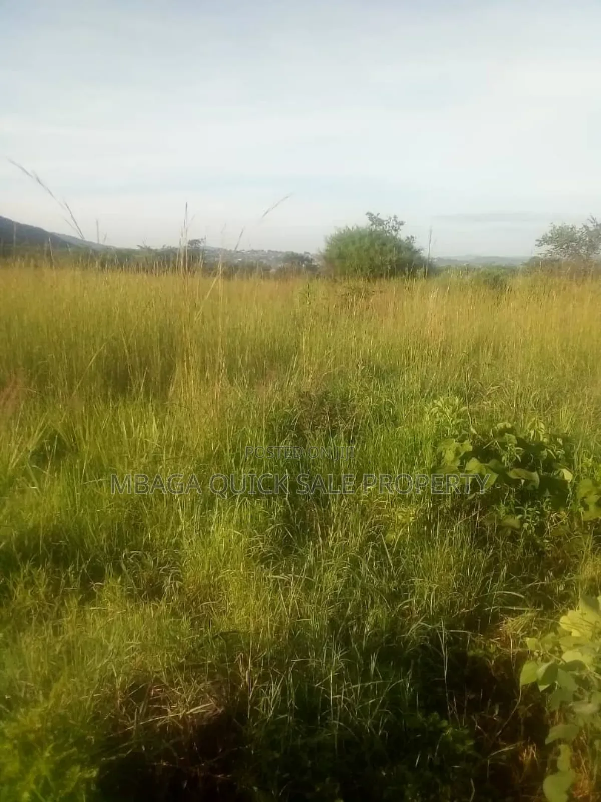 Farm for Sale at Mafinga Iringa in Mafinga
