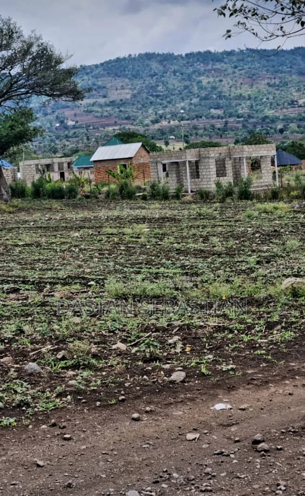 New Project Maji Ya Chai in Arusha