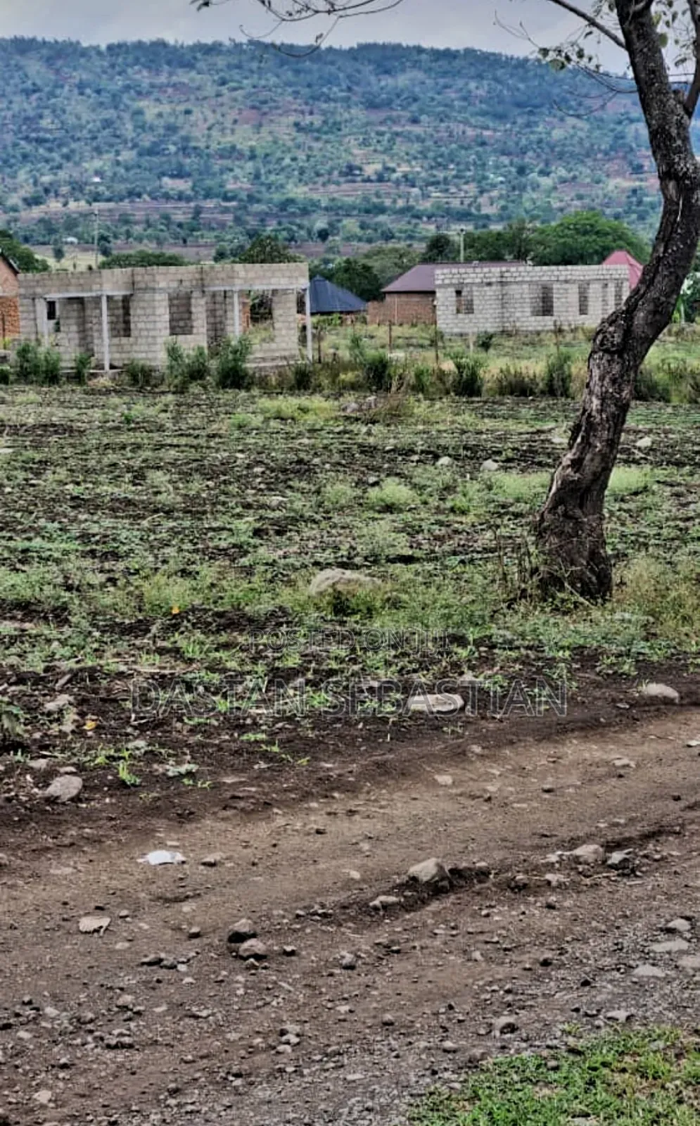 New Project Maji Ya Chai in Arusha