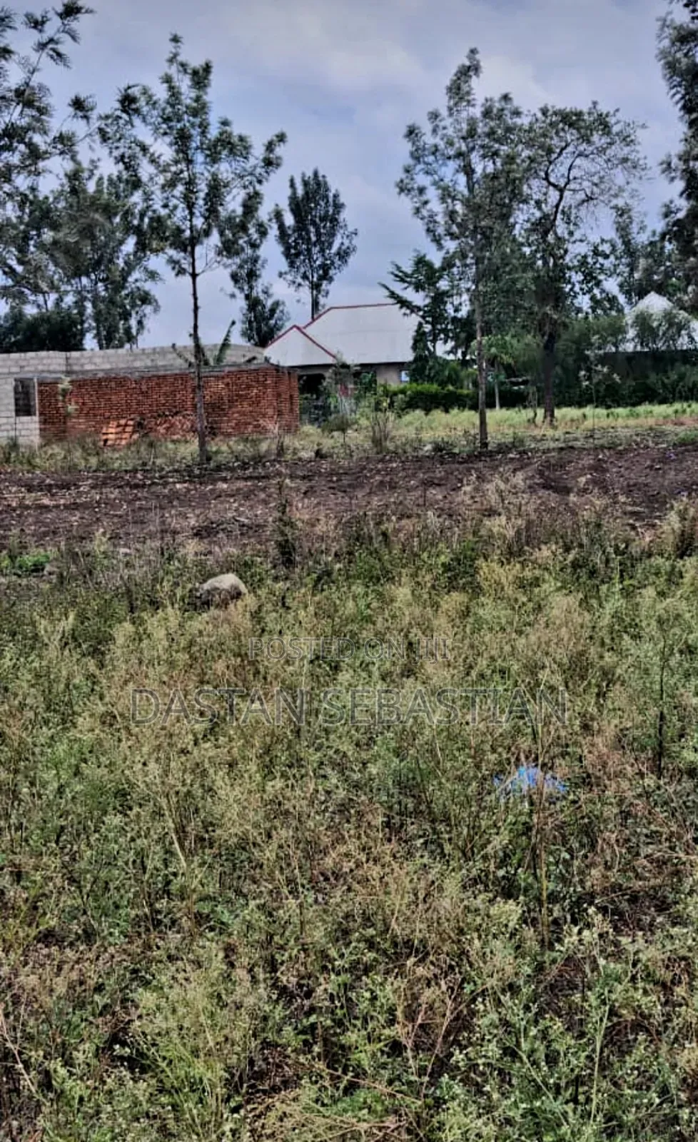 New Project Maji Ya Chai in Arusha
