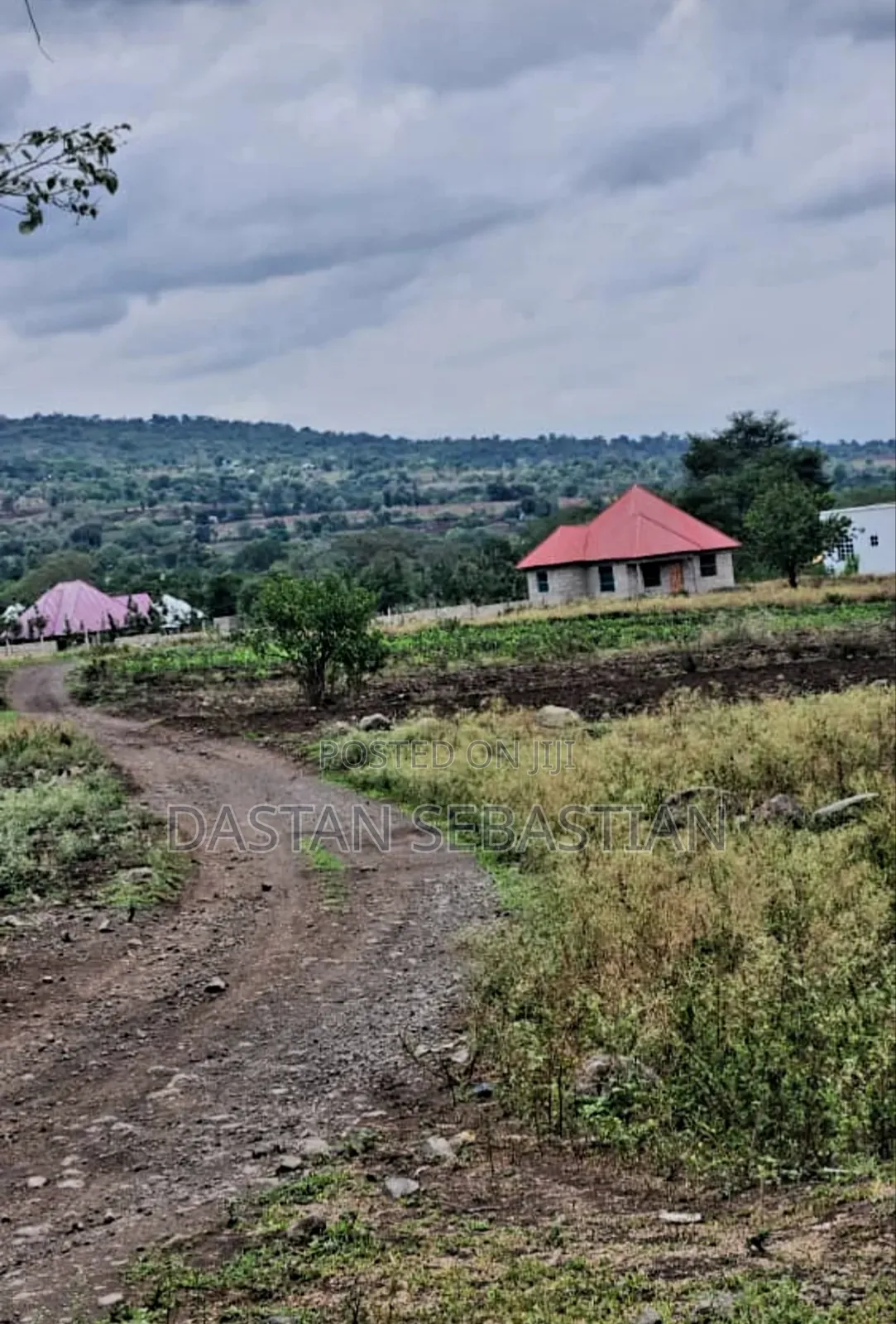 Maji Ya Chai Njia Ya Ng'ombe in Arusha