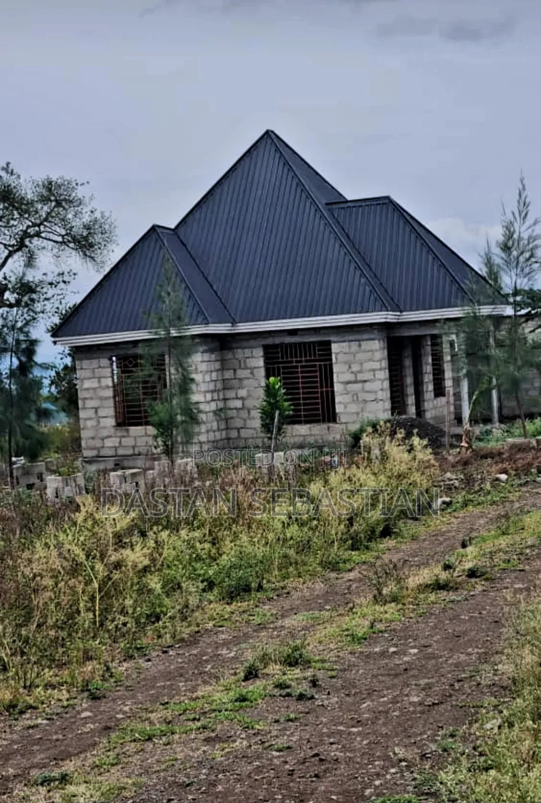 Maji Ya Chai Njia Ya Ng'ombe in Arusha