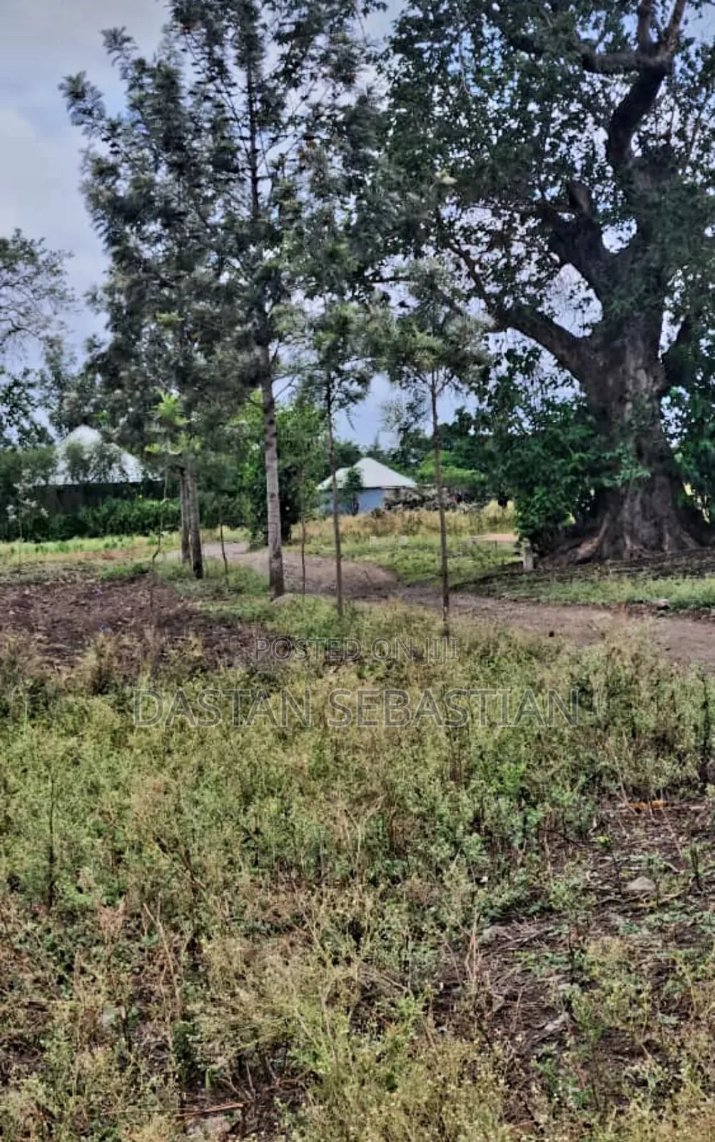 Maji Ya Chai Njia Ya Ng'ombe in Arusha