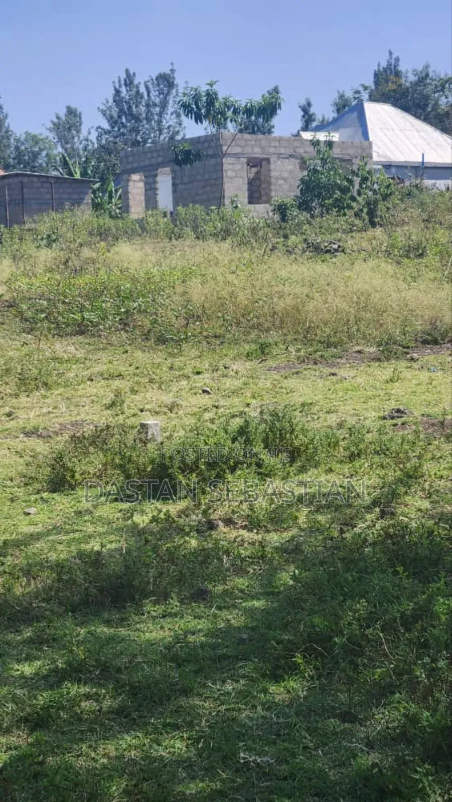 Kisongo Kumenoga in Arusha
