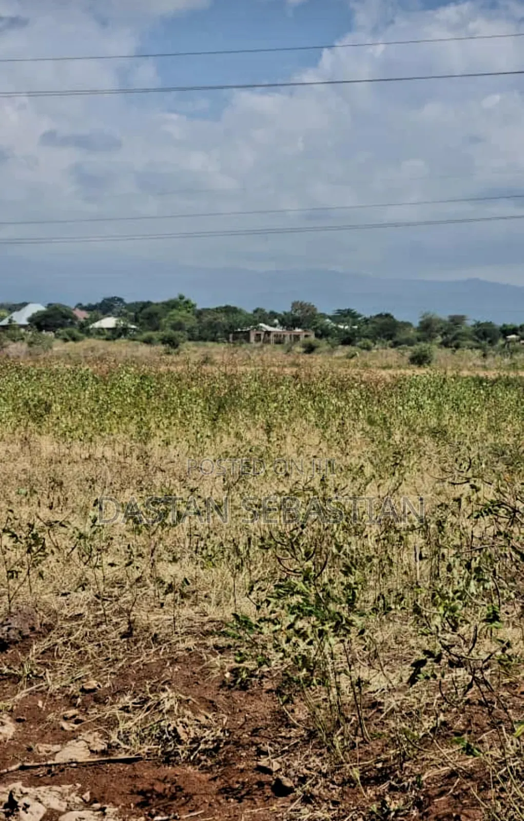 Boma Ng'ombe Ngawaiya Karibu Na Kia in Arusha