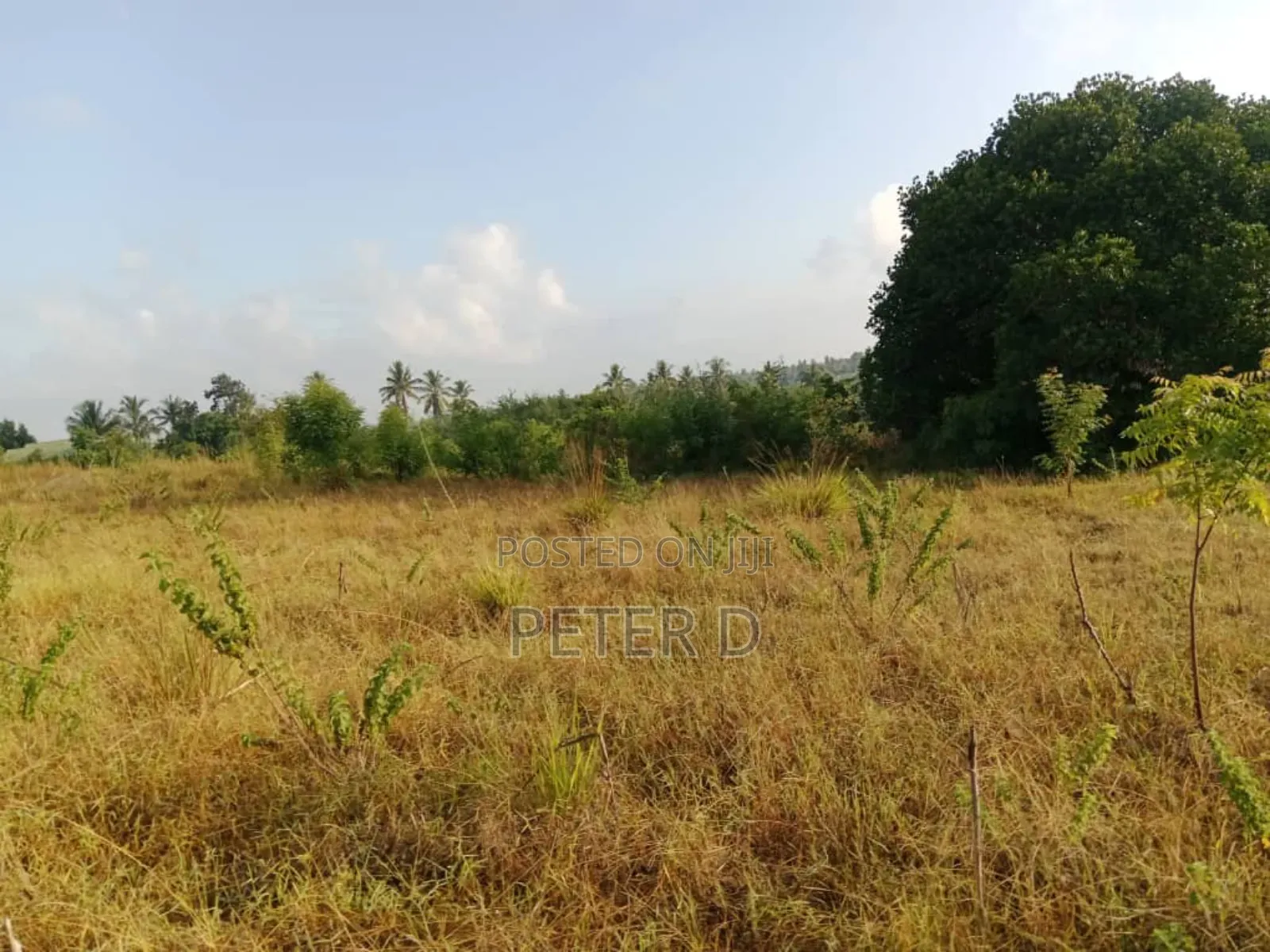 Kiwanja Heka 2 Madale in Goba