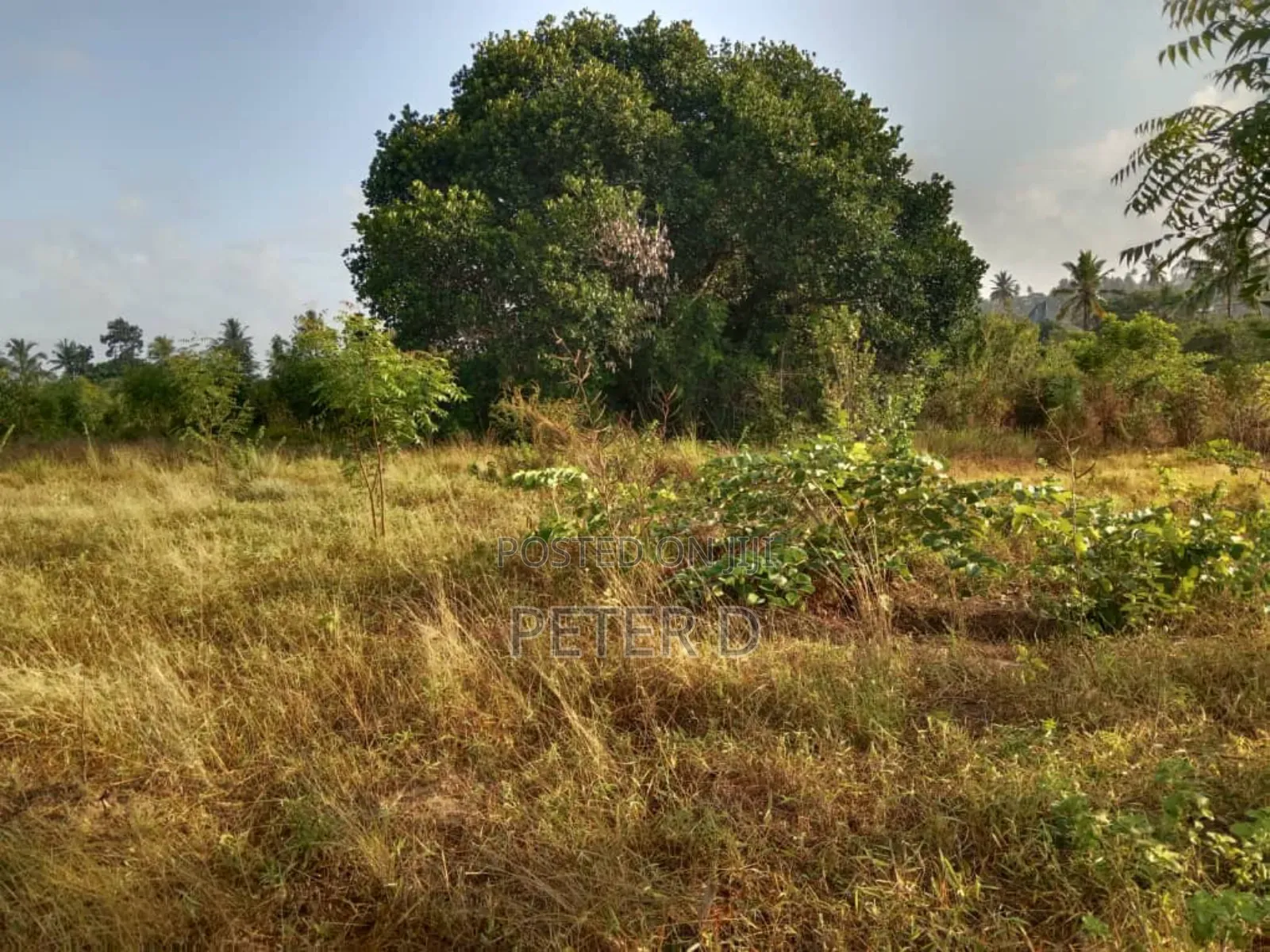 Kiwanja Heka 2 Madale in Goba