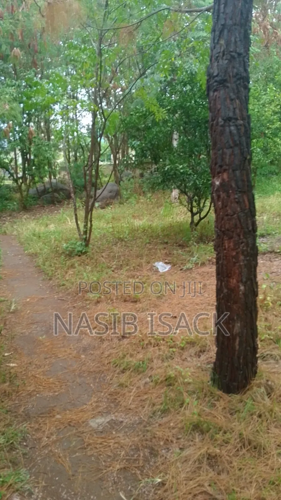 Kiwanja Nyegezi Majengo in Nyamagana