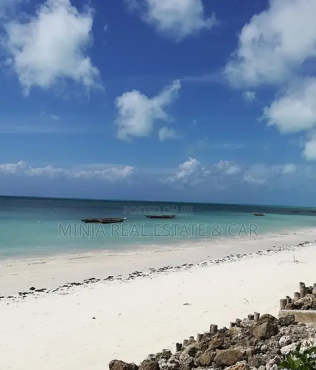 6 Acres White Sand Beach Plot for Sale in Jambian Zanzibar in Kati
