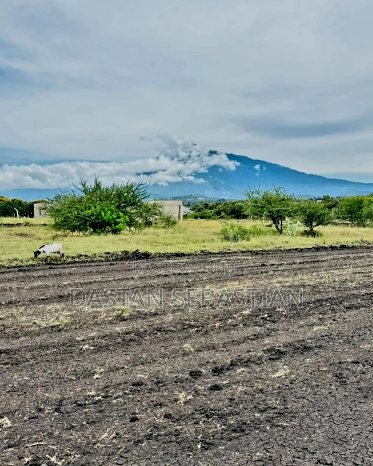 Njiro Bei Imeshuka in Arusha