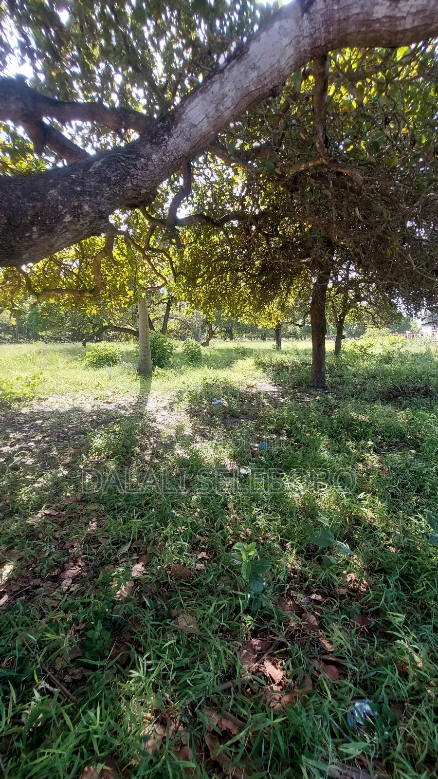 7hectore Industrial At Bagamoyo Mapinga in Bagamoyo