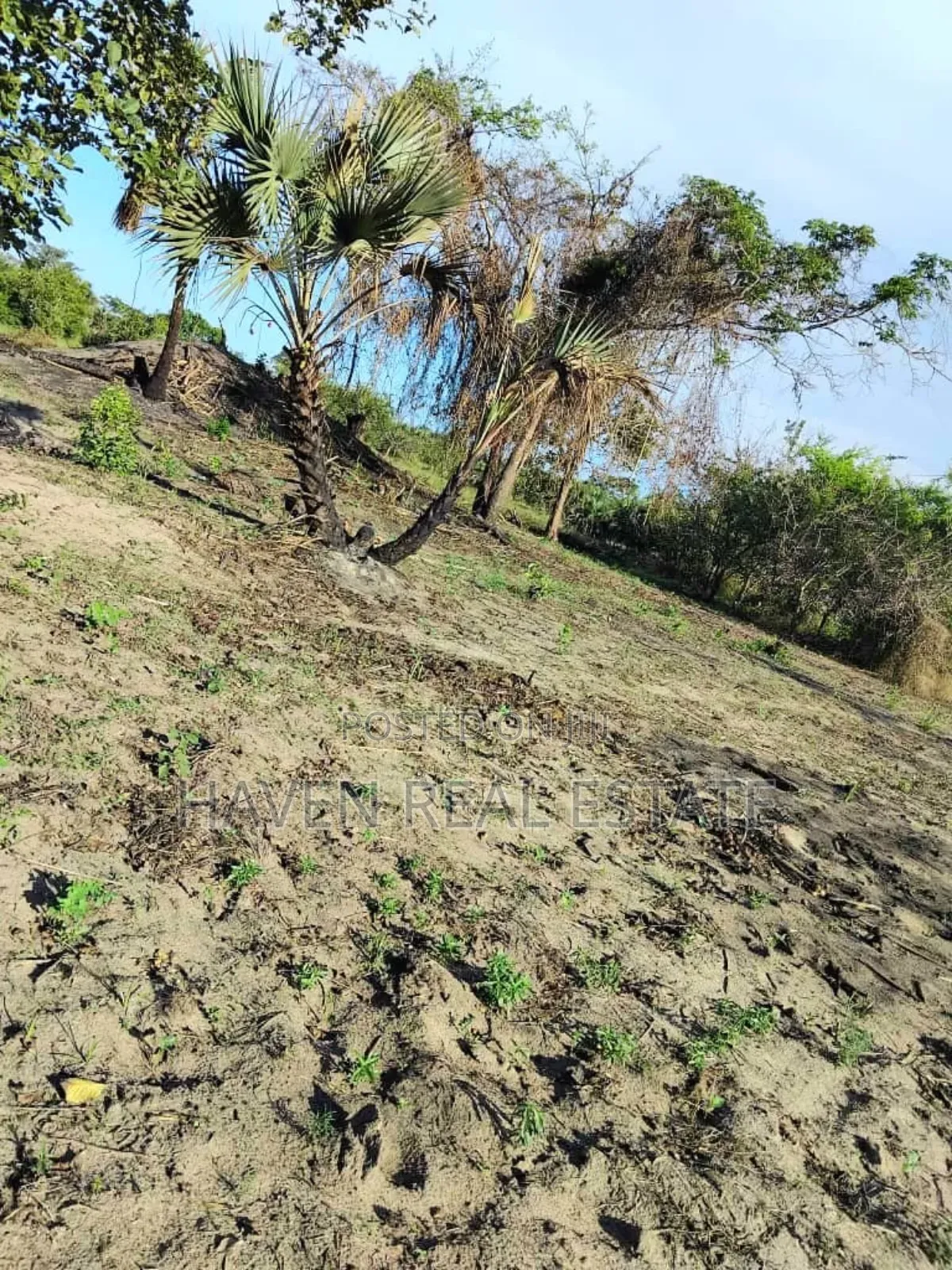 50 Acres Zinauzwa Kiromo Bagamoyo in Bagamoyo