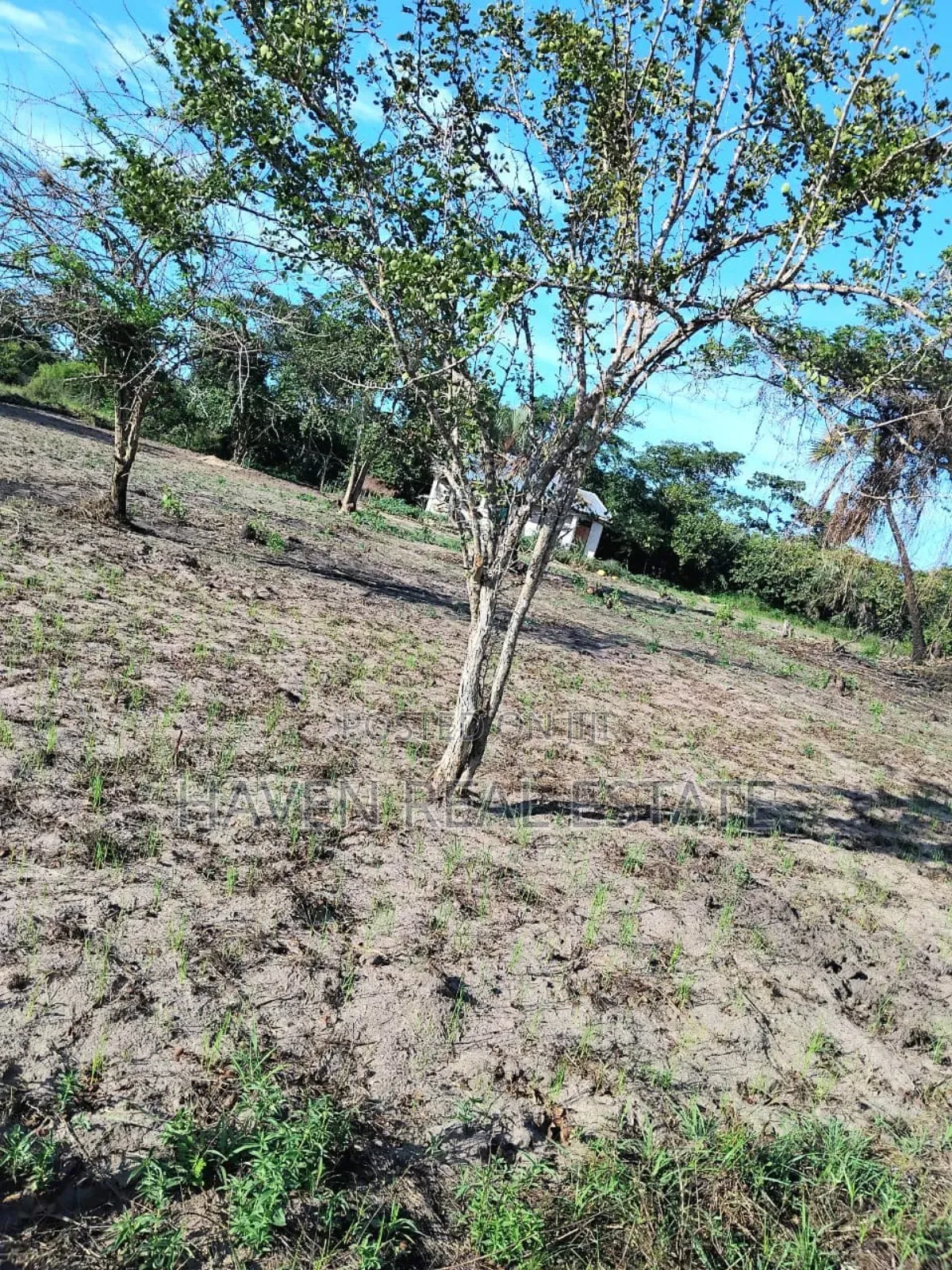 50 Acres Zinauzwa Kiromo Bagamoyo in Bagamoyo