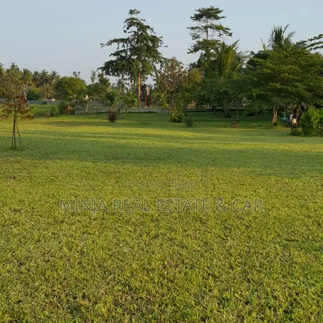 Plot/Property for Investing in Mapinga in Zinga
