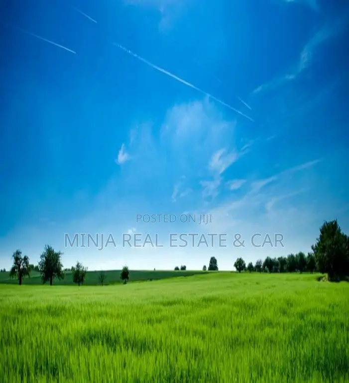 Plot/Property for Investing in Mapinga in Zinga