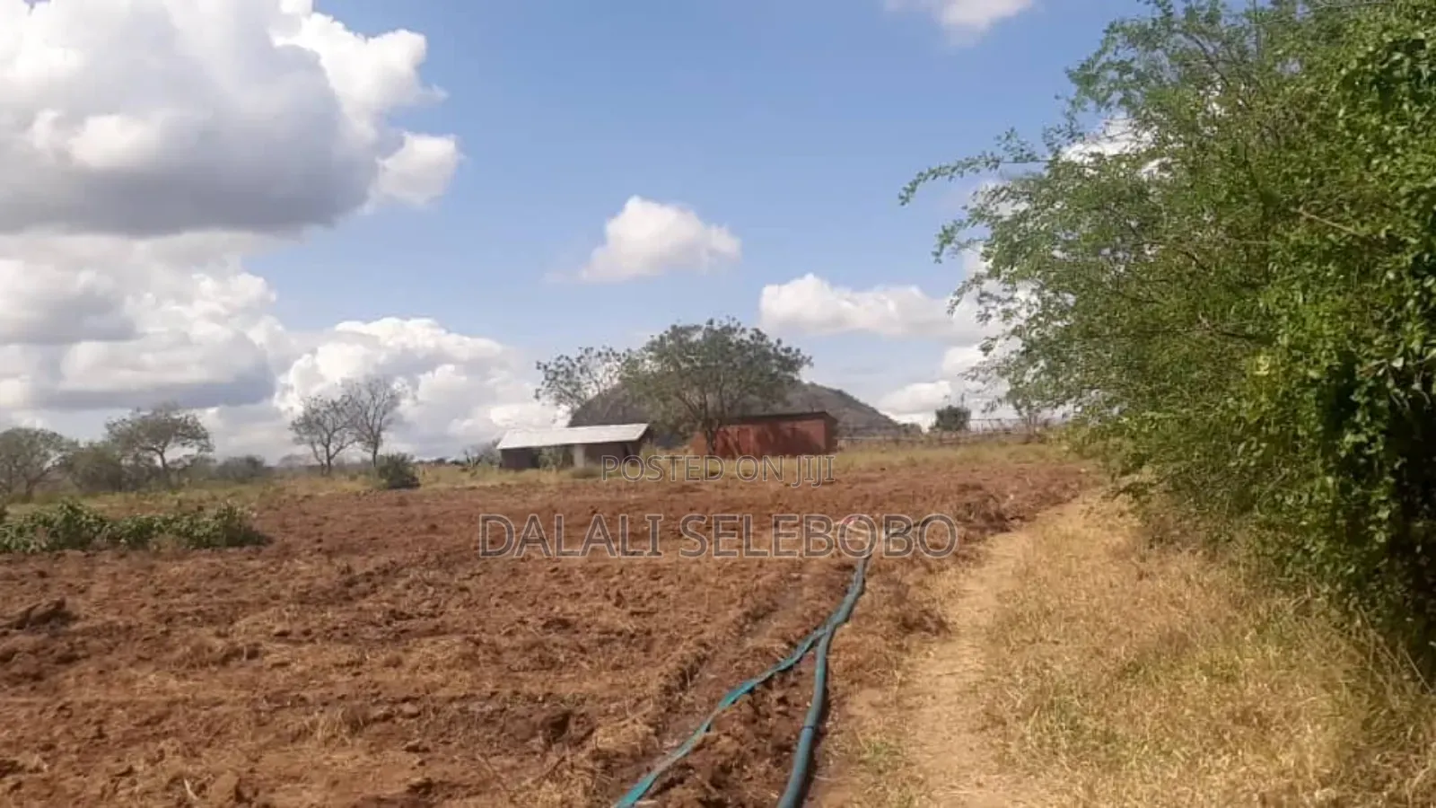 Hectore 330 at Morogoro Sangasanaga in Morogoro Rural