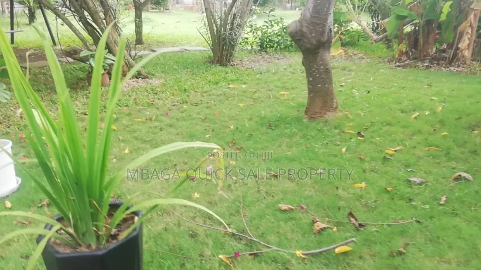 4bdrm House in Masaki for sale in Masaki