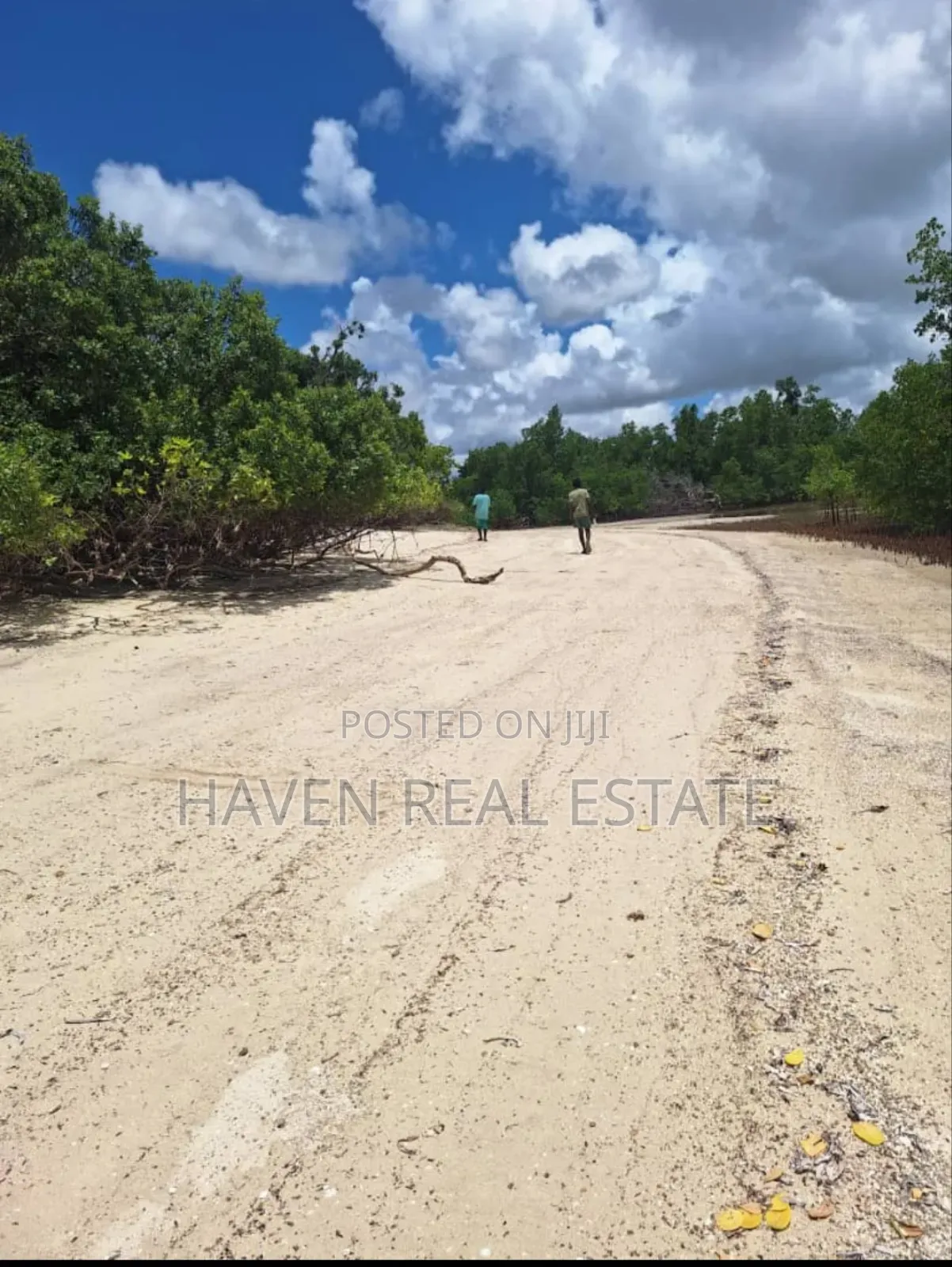 Beach Plot for Sale at Mafia in Mafia Island