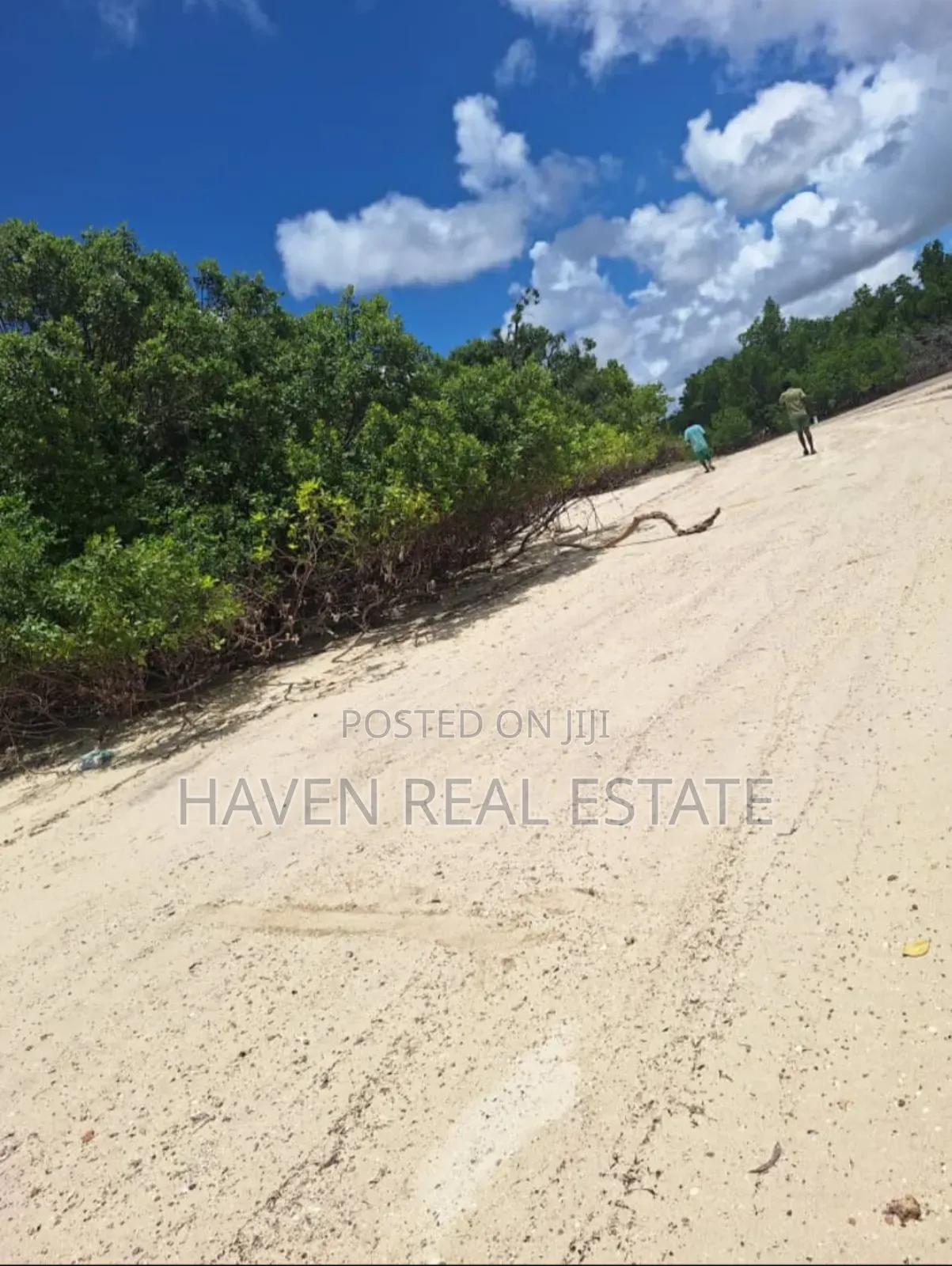 Beach Plot for Sale at Mafia in Mafia Island