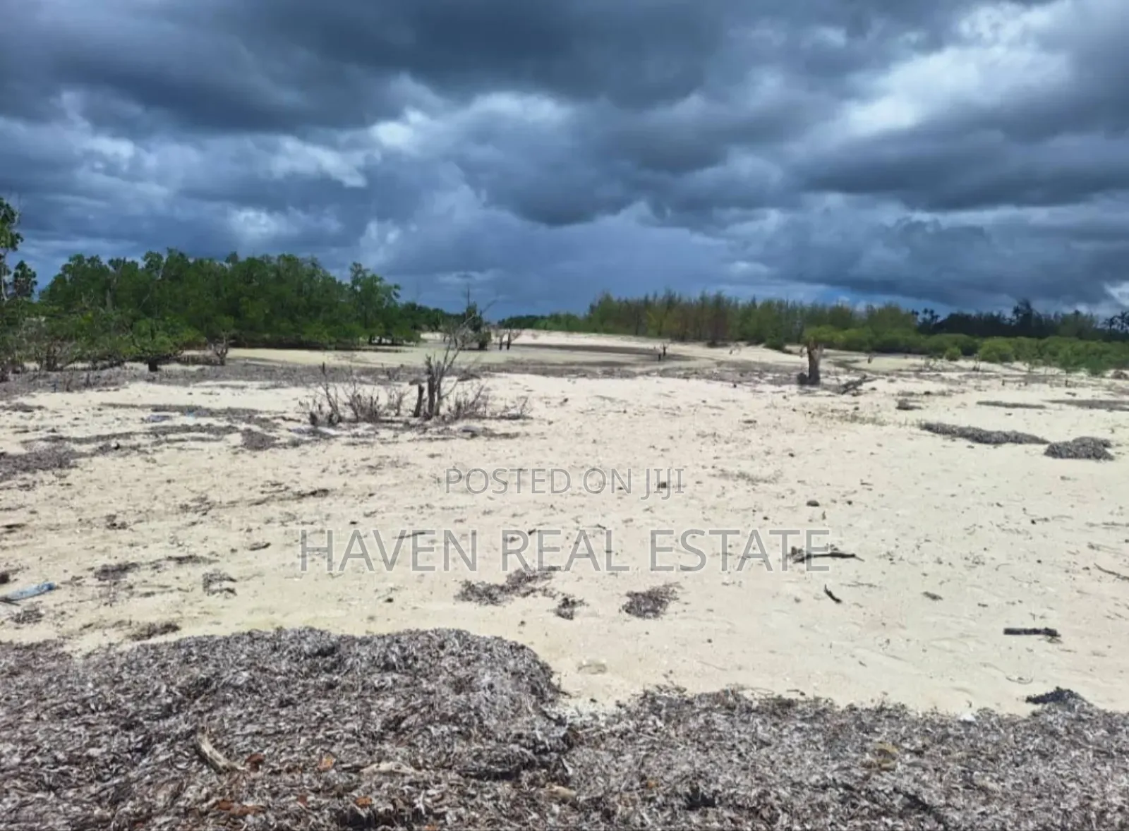 Beach Plot for Sale at Mafia in Mafia Island