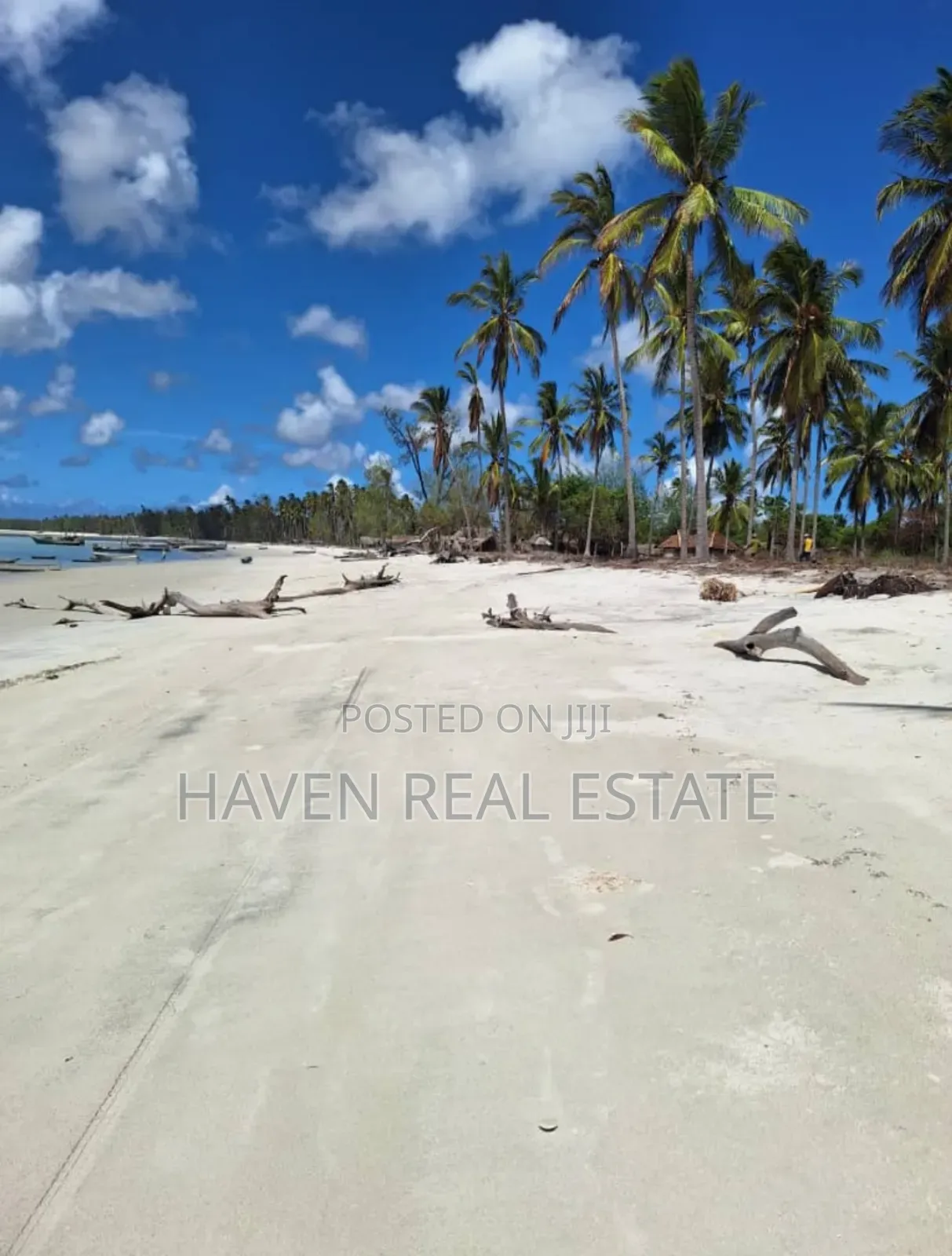 Beach Plot for Sale at Mafia in Mafia Island