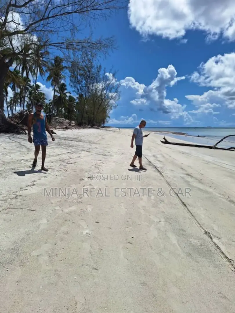 Beach Plot for Sale at Banja Mafia in Kanga