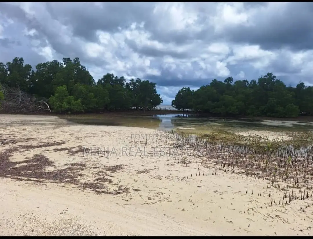 Beach Plot for Sale at Bweni Mafia in Kanga