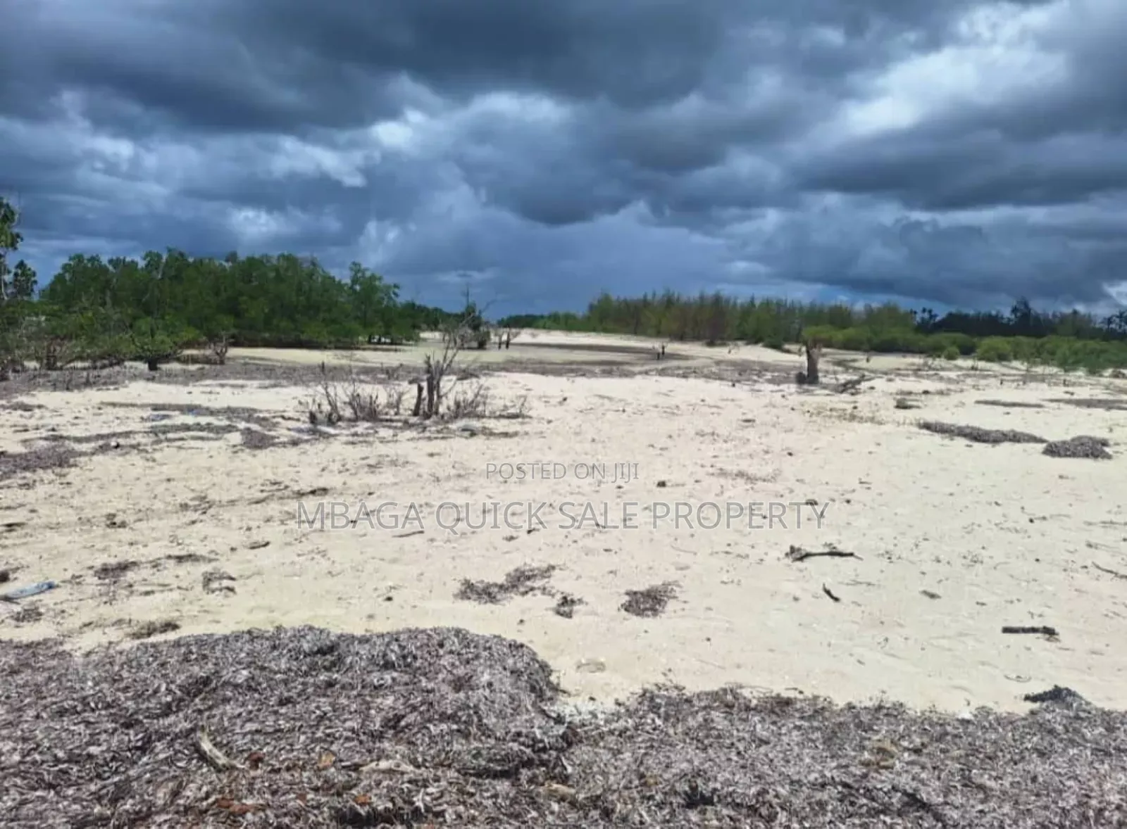 Beach Plot for Sale at Mafia Banja in Mafia