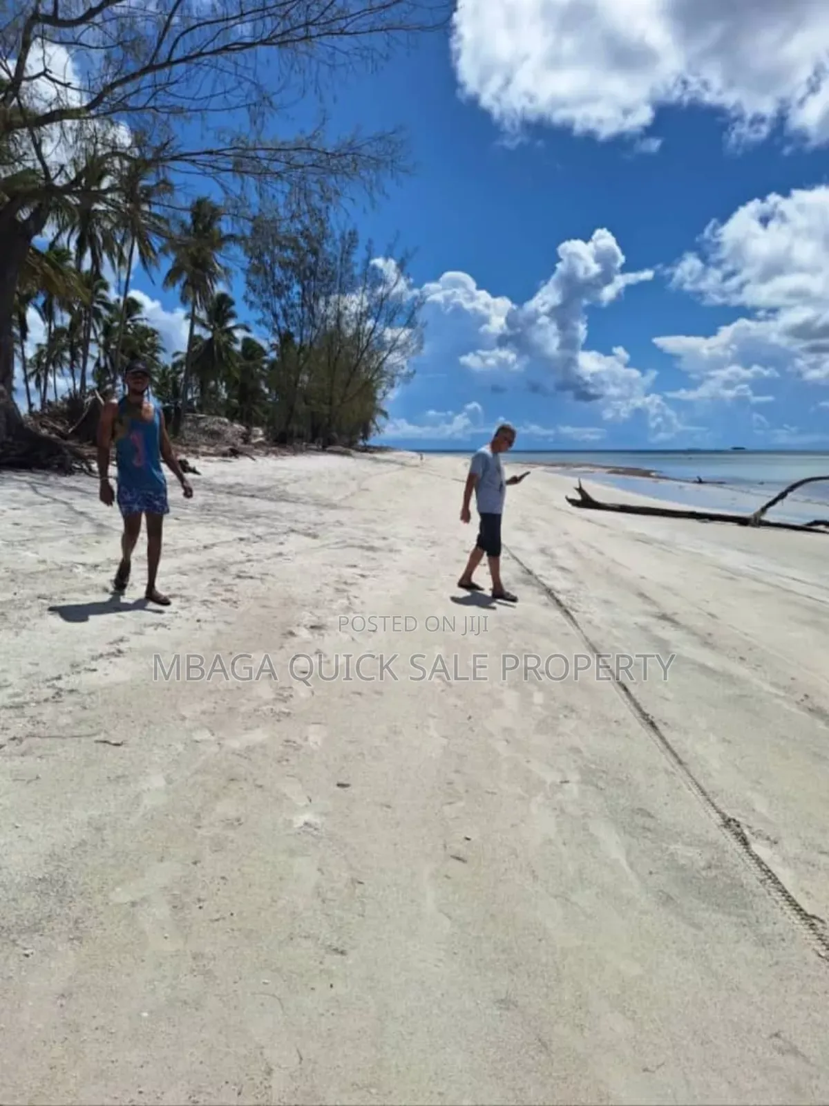 Beach Plot for Sale at Mafia Banja in Mafia
