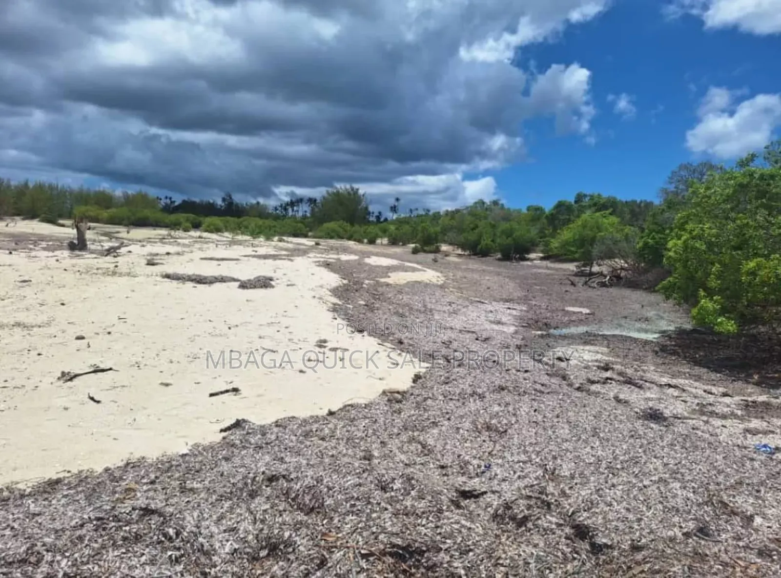 Beach Plot for Sale at Mafia Banja in Mafia