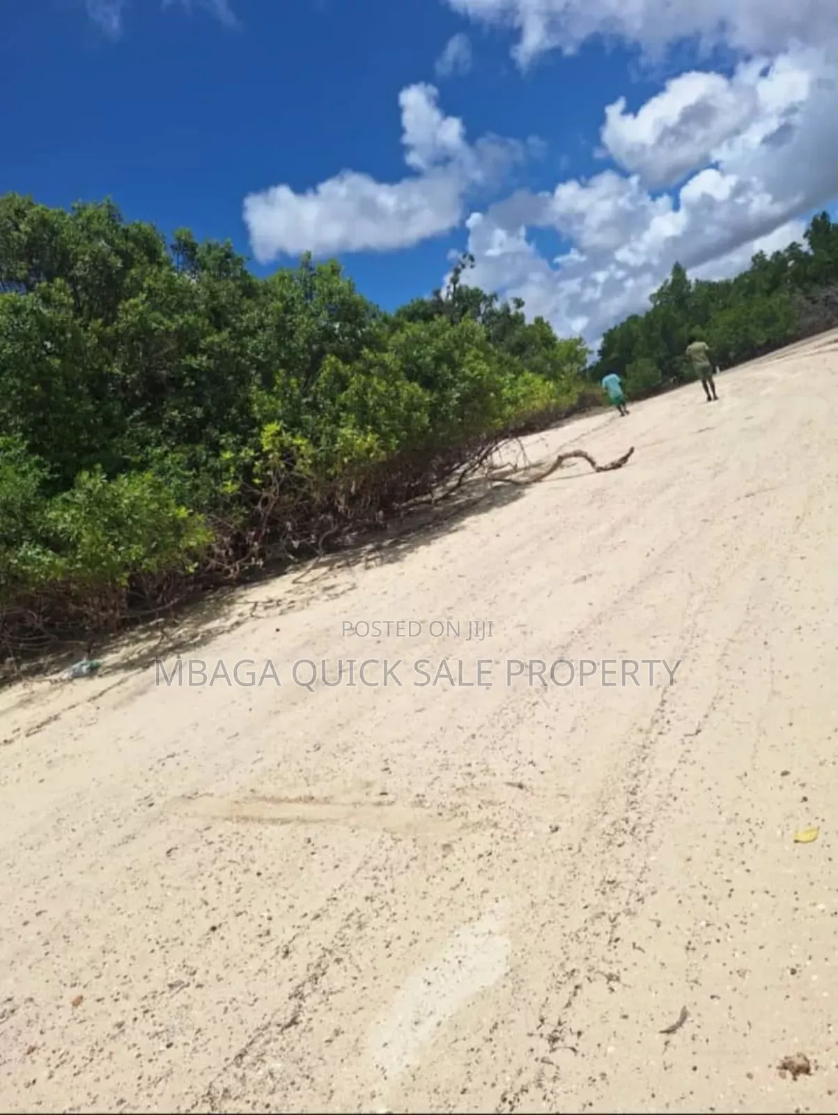Plot for Sale at Mafia Bweni in Mafia