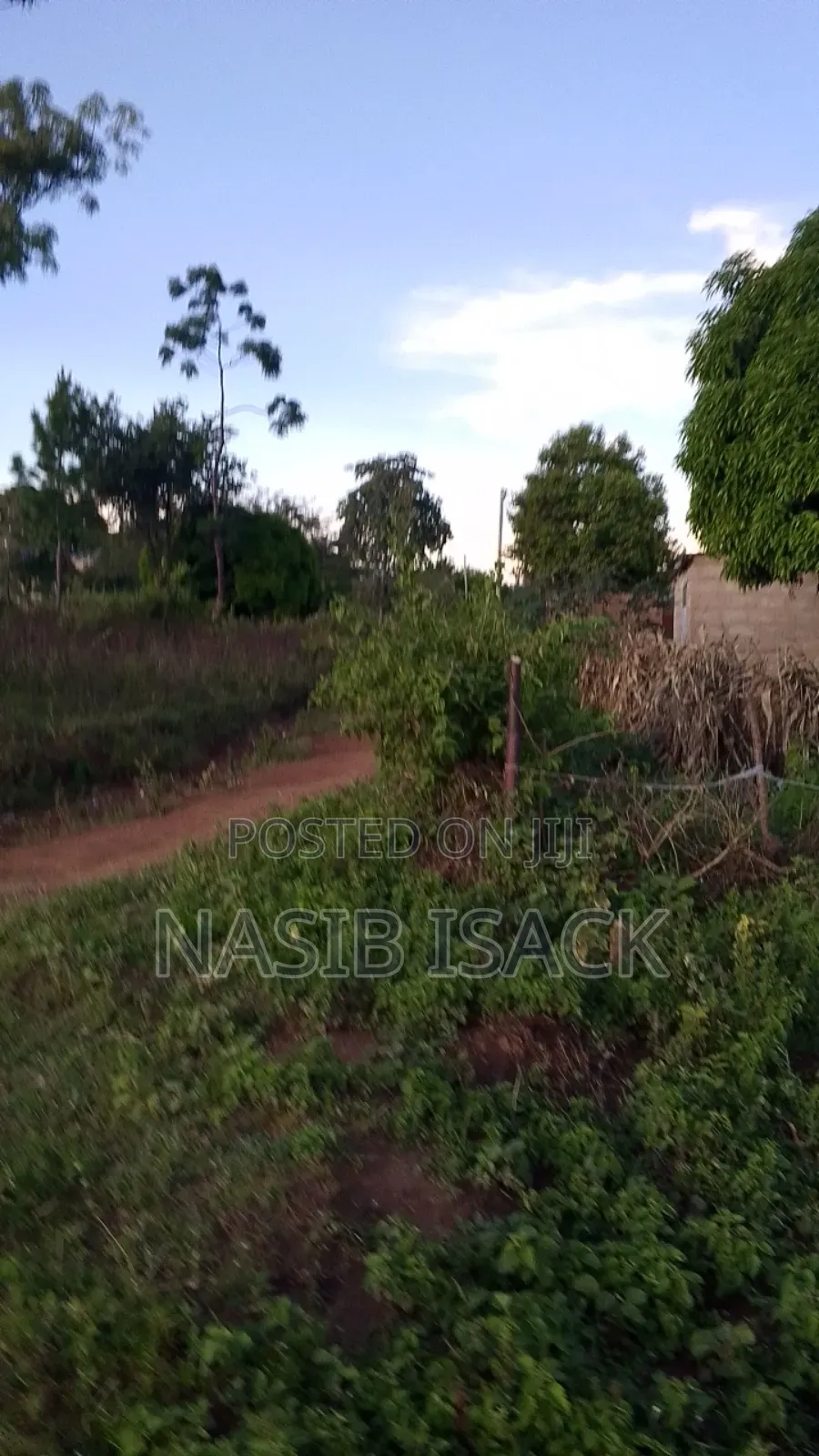 Plot for Sale in Buzuruga