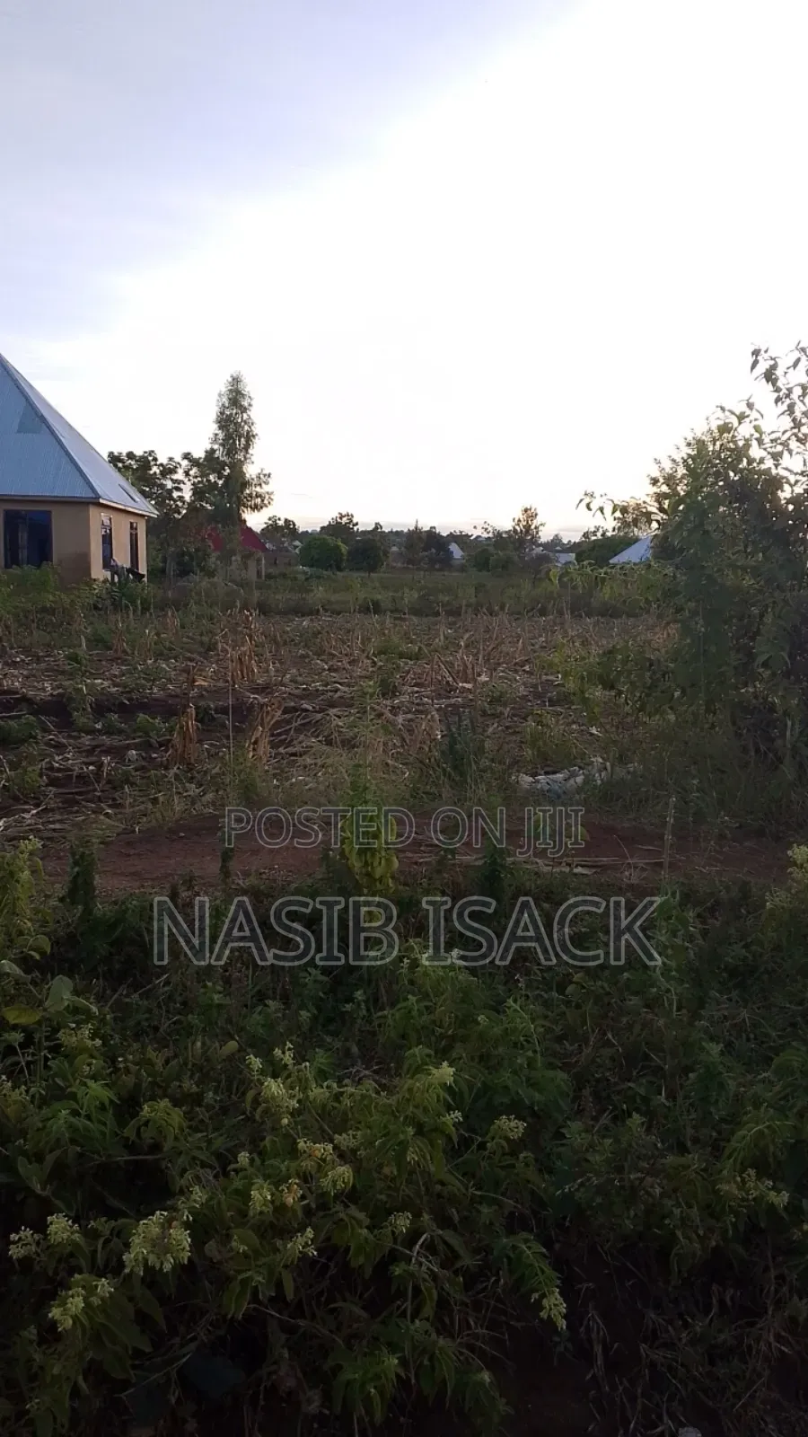 Plot for Sale in Buzuruga