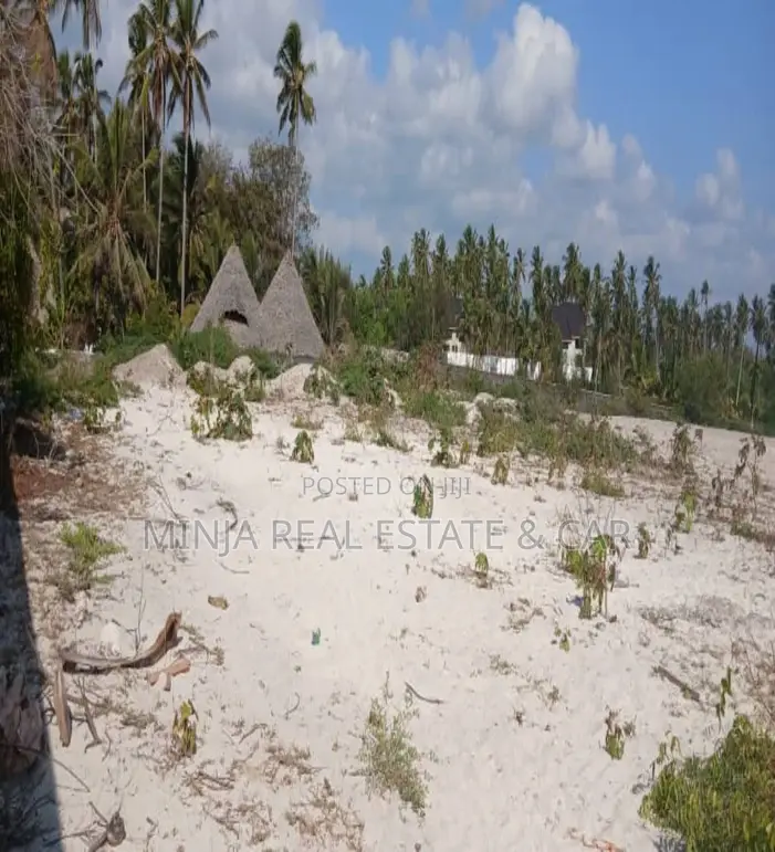 Beach Plot for Sale Jambiani Zanzibar in Kusini