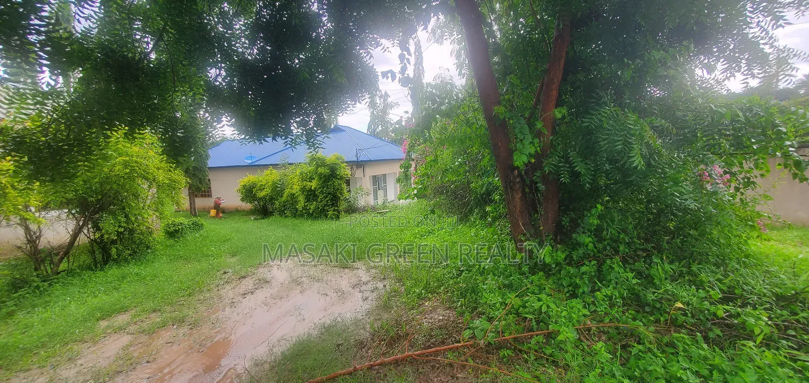 Goba Plot for Sale in Goba