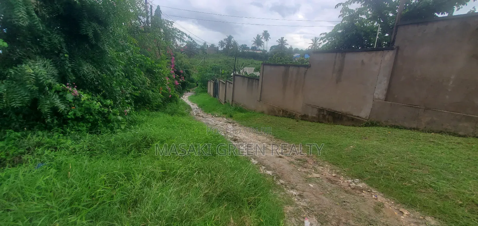 Goba Plot for Sale in Goba