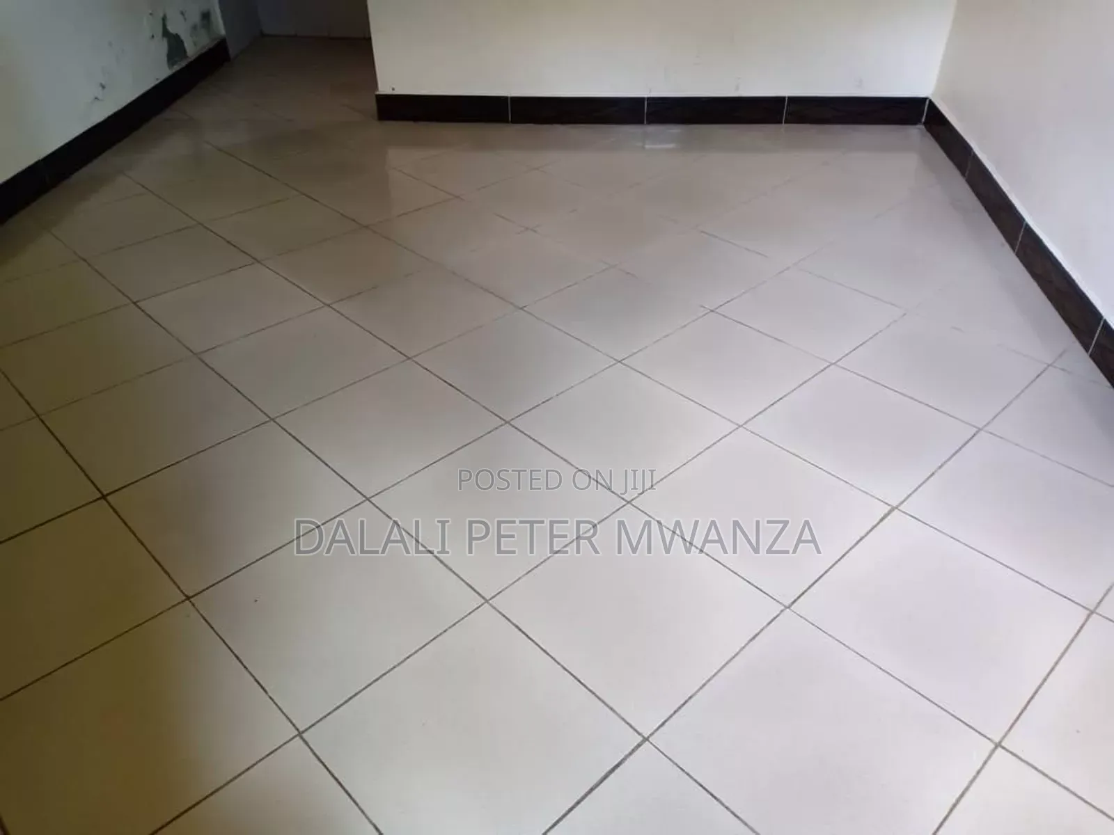 2bdrm House in Nyegezi, Nyamagana for rent in Nyamagana
